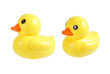 Rubber duck toy for kid isolated on white background