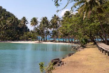 Naklejka na ściany i meble Blur coconut palm leaves on ropical island beach background.