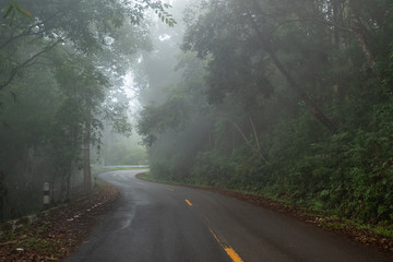 foggy rural asphalt highway perspective with white line, misty road, Road with traffic and heavy fog, bad weather driving.