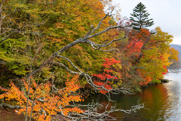 中禅寺湖　紅葉　カラフル