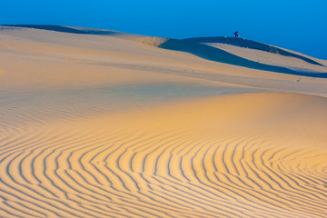 A flat sand dune with radial ripples on the surface. Stockton Sand Dunes near the coast, Worimi Regional Park, Anna Bay, Australia © Ksenia