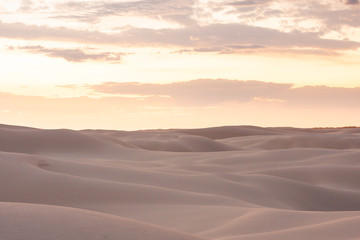 Fototapeta na wymiar Wide boundless desert with beautiful dunes. Nothing and no one. Soft smooth shapes. Orange sky. Stockton Sand Dunes near the coast, Worimi Regional Park, Anna Bay, Australia