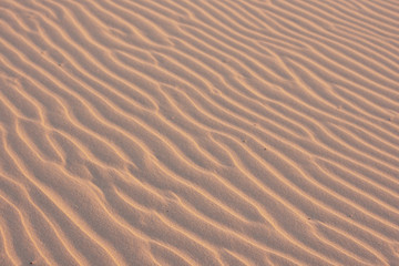 Texture, the surface of a sand dune of a yellow shade, covered with small ripples of the waves going diagonally. Stockton Sand Dunes near the coast, Worimi Regional Park, Anna Bay, Australia. Closeup.