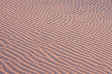 Texture, the surface of a sand dune of a pink shade, covered with small ripples of the waves going diagonally. Stockton Sand Dunes near the coast, Worimi Regional Park, Anna Bay, Australia.