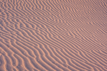 Texture, the surface of a sand dune of a pink shade, covered with small ripples of the waves going diagonally. Stockton Sand Dunes near the coast, Worimi Regional Park, Anna Bay, Australia. Closeup.
