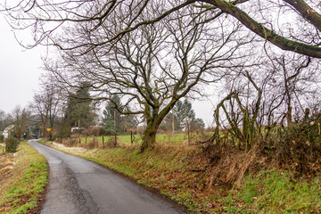 Obraz premium Rund um den Krahforst