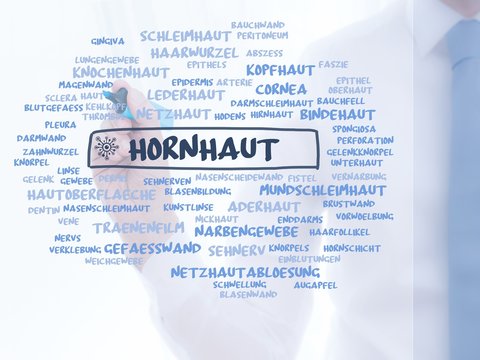 Hornhaut