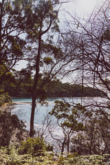 view of the beach next to the Tessalated Pavement in Eaglehack Neck in the Tasman Peninsula