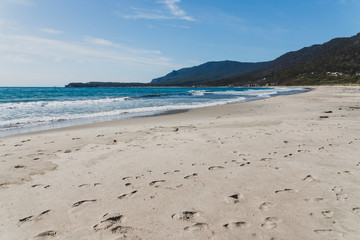 view of the beach next to the Tessalated Pavement in Eaglehack Neck in the Tasman Peninsula