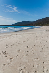 view of the beach next to the Tessalated Pavement in Eaglehack Neck in the Tasman Peninsula