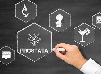 Prostata