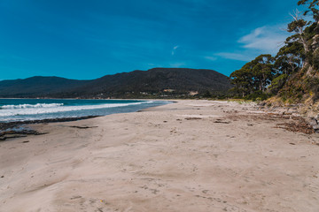 view of the beach next to the Tessalated Pavement in Eaglehack Neck in the Tasman Peninsula