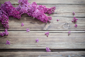 lilac on old wooden background