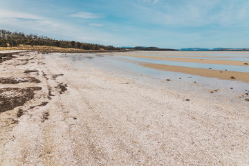 view of Dunalley Beach in Tasmania, Australia with sandbanks and shallow pristine water