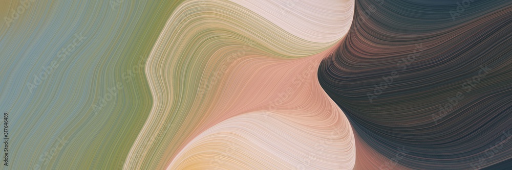 Leinwandbilder artistic header with gray gray, dark slate gray and baby pink colors. dynamic curved lines with flui