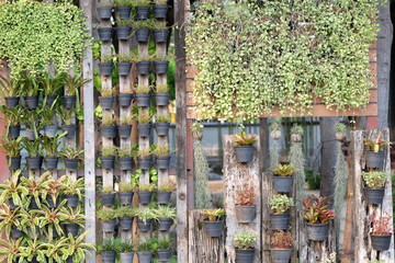 The idea of ​​decorating a Hanging garden in a small space that can be designed by yourself. This 