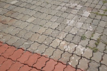 close up old cement brick floor texture in garden