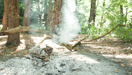 Extinct bonfire in the forest with smoke.