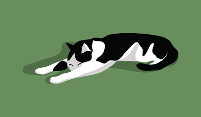 Cute cat sleeping. Black and white cat with green eyes  isolated on blue background. Stock vector illustration in flat  style.