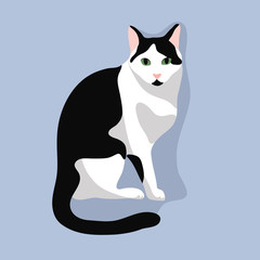 Cute cat sit. Black and white cat with green eyes  isolated on blue background. Stock vector illustration in flat style.