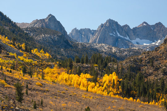 Autumn Valley View from Aspendell California