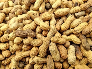 hot fresh and healthy groundnuts for sell 