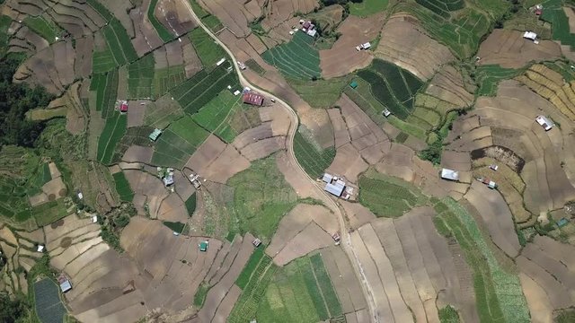 Rice fields in Bauko Mountain Province, Cordillera Administrative Region Philippines