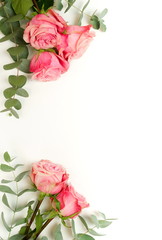 Beautiful pink roses and eucalyptus leaves  frame isolated on white background top view, copy space. 