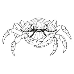 Children's coloring book sea animal crab linear simple drawing