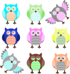 multi-colored bright owls with eyes of different colors. Birds in several options, differing from each other, movements and facial expressions.