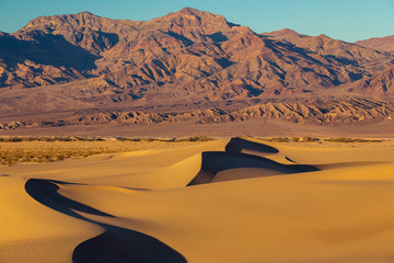 Afternoon Sun at Mesquite Flat Sand Dunes, Death Valley California