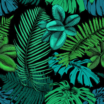 Seamless pattern with image of a green Exotic leaves: date palm, fern, rubber plant, monstera on a black background. Vector illustration.