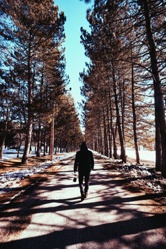 Man walking in the forest