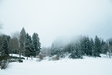 mountain landscape slopes covered with snow can be seen a tree fence and a house.savsat/artvin
