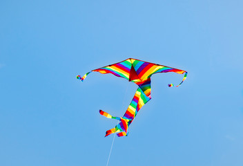 Colorful Kite Flying in the sky, Bondi Beach Sydney