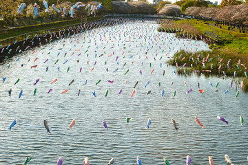 Naklejka premium Koinobori, Japanese carp streamer over the river 