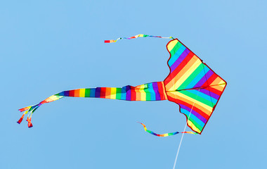Colorful Kite Flying in the sky, Bondi Beach Sydney