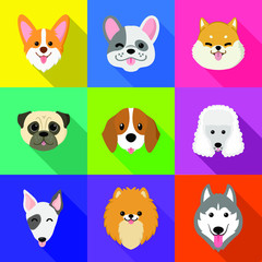 Dogs smiling face collection.Vector illustration of funny cartoon different breeds dogs in trendy flatstyle.placed on a colorful background.