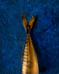 Smoked Baltic mackerel tail on a classic blue background texture. vertical image