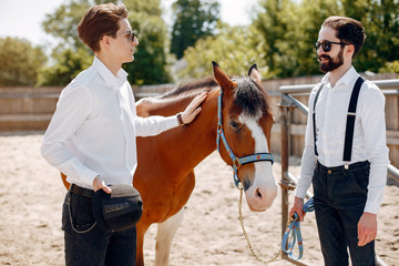 Fototapeta premium Horse theme. Businessmen with a horse. Men in a suit