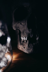 Human skull decoration with reflection