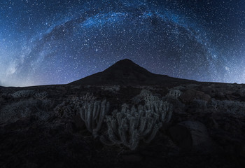 Milky way in Jandia, Fuerteventura, Las Palmas, Canary Islands, Spain, Europe