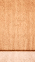 Concept or conceptual vintage or grungy brown background of natural wood or wooden old texture floor and wall as a retro layout. A 3d illustration metaphor to time, material, emptiness,  age or rust