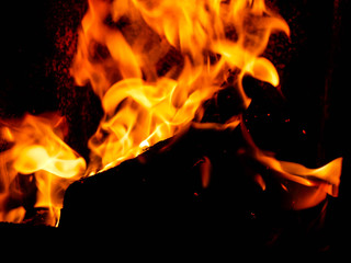 Burning fire wood in home central heating system close up shot.