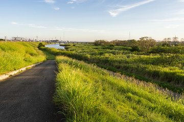 夕方の加古川河川敷