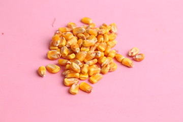 yellow corn in color background