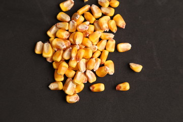yellow corn in color background