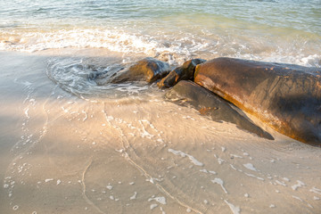 White waves splashing on the rocks