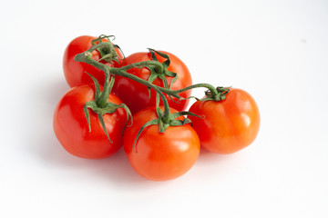Ripe tomatoes on a branch on a white background