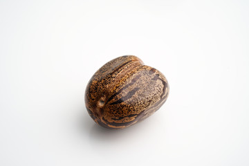Latex seeds or Hevea brasiliensis from rubber tree on white background.